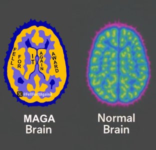 1000007862.jpg