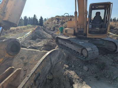 PXL_20250810_011432285.jpg