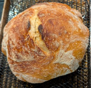 Bread - 2025-08-16.jpg
