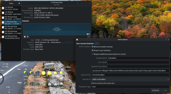 Linux Mounting Drive Options.png