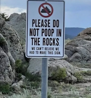 1756523118860.png