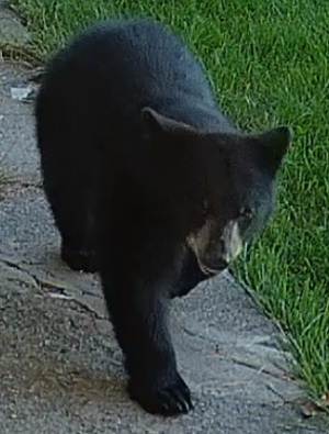 Screenshot from 2025-08-31 19-13-43.png