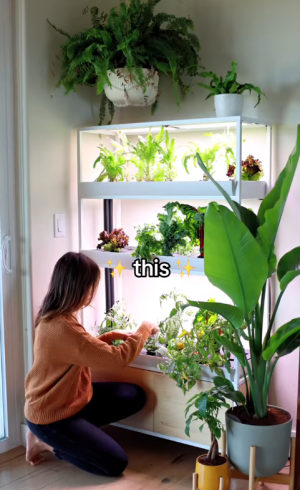 1756858766450.png