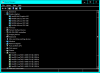 Device manager.png