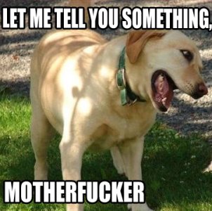 angrydog.jpg