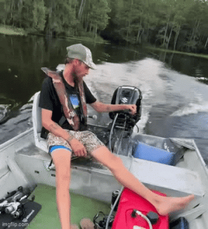 Fish Hit 2.gif