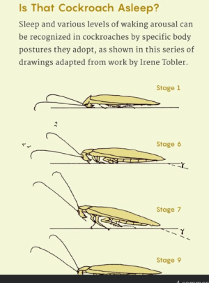 2025-09-18 21_46_10-$keep - File Explorer.png