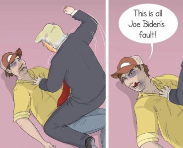 bidens-fault.jpg