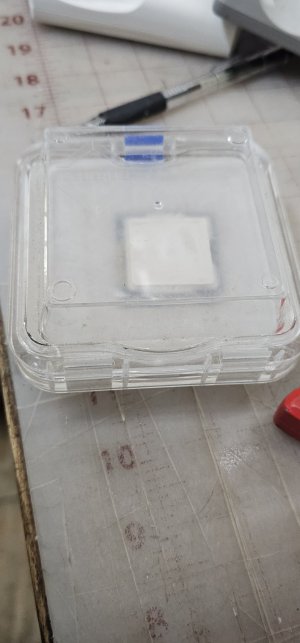 20250930_195610.jpg
