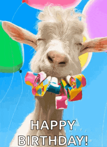 1759347564297.gif