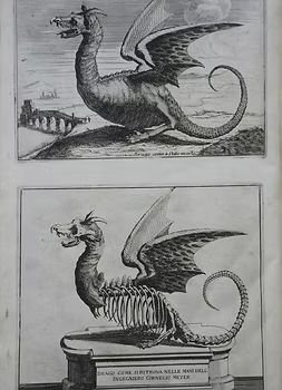 Cornelis Janszoon Meijer 1600s - Cornelio Meyer - dragon2.jpg