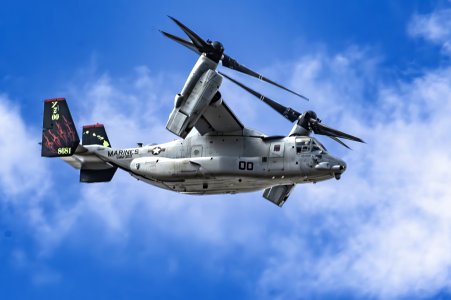 Osprey- 12-19-2024-1.jpg Osprey- 12-19-2024-1.jpg