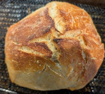 Bread 2025-10-05.jpg