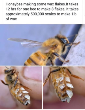 1000052194.png