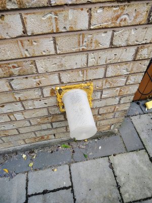 1000014747.jpg