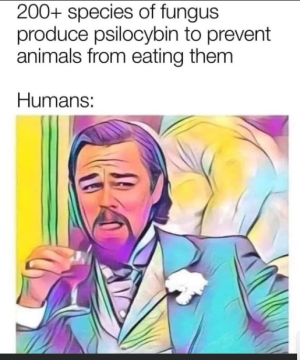 2025-10-16 09_52_47-.png