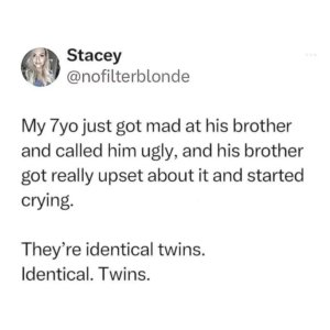 twins.jpg