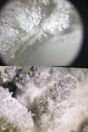 Caffeine Crystals Both.jpg