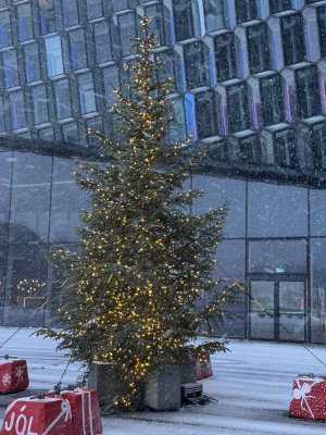 IMG_2764.JPEG IMG_2764.JPEG