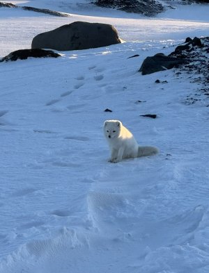 FullSizeRender.JPEG FullSizeRender.JPEG