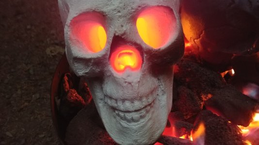 FireSkull2.jpg