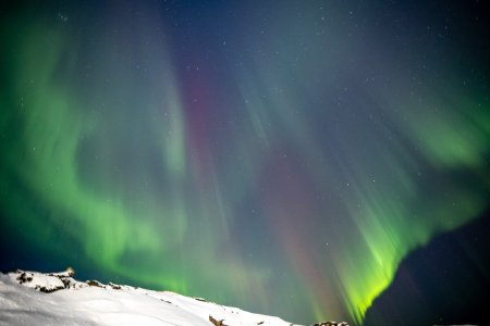 NYE 24-25 Iceland -141.jpg