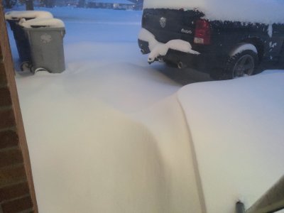 IMG_20251127_170133.jpg IMG_20251127_170133.jpg