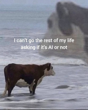 1764394016604.png 1764394016604.png