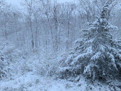 Snow Nov 2025.jpg Snow Nov 2025.jpg