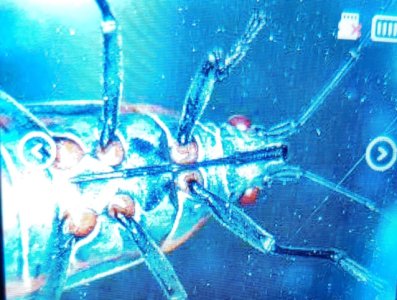 1764707318997.jpeg 1764707318997.jpeg