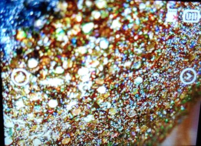 1201251920a.jpg 1201251920a.jpg