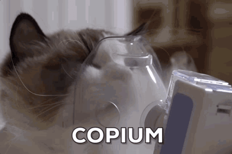 copium-cat-3597989943.gif