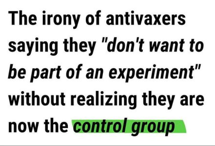 1765637424909.jpeg 1765637424909.jpeg