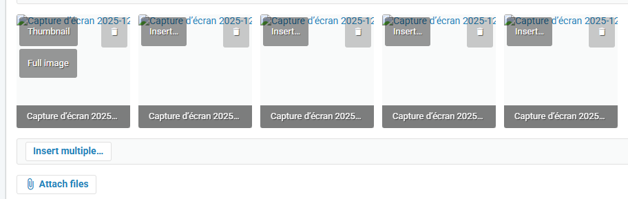 Capture d’écran 2025-12-13 195604.png