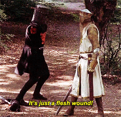 Just a flesh wound.gif