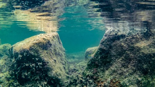 Underwater - bbhaag Pic.jpg