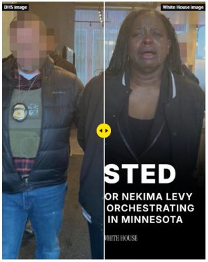 White House altered image 2.jpg