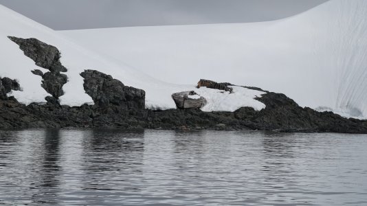 Wreck Enterprise Island.JPG