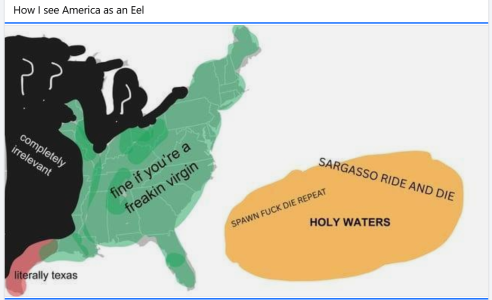 1769519835234.png 1769519835234.png