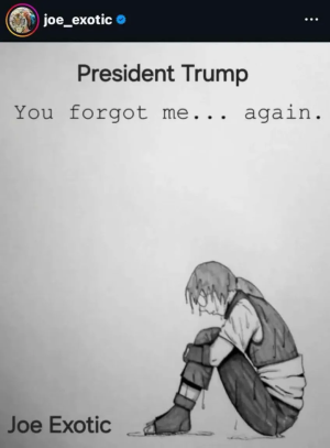 1769712987935.png 1769712987935.png