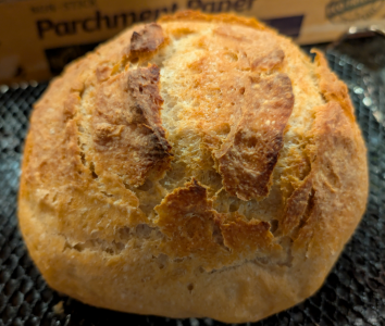 1769833185124.png 1769833185124.png