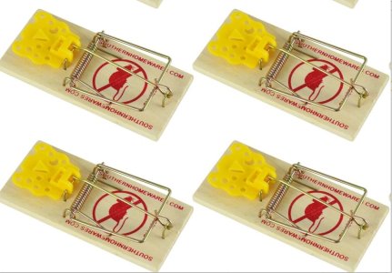 Mouse traps - Southernhomewares.jpg