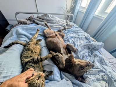 PXL_20251106_142611748~2 (1) (Medium).jpg