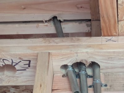 PXL_20260207_233129305.jpg PXL_20260207_233129305.jpg