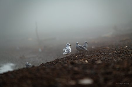 DSP-5479-20250921.jpg DSP-5479-20250921.jpg