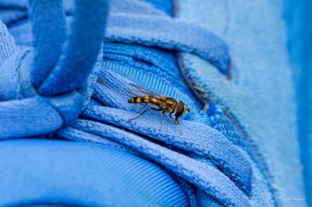 DSP-5604-20250921.jpg DSP-5604-20250921.jpg