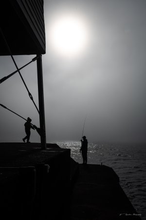 DSP-5751-20250921.jpg DSP-5751-20250921.jpg