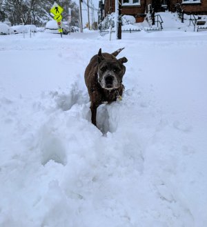 PXL_20260223_183629795-EDIT - Copy.jpg