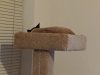 IMG_20191130_182646.jpg