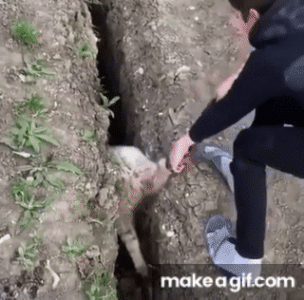 1773655345742.gif